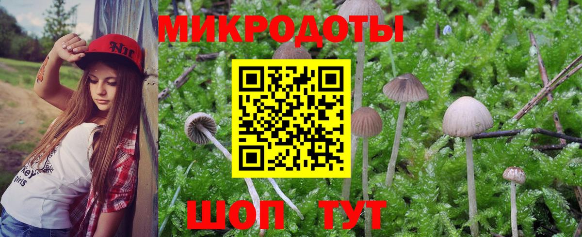 Старая Купавна  Псилоцибиновые грибы MAGIC MUSHROOMS  Вход с VPN  Псилоцибиновые грибы прущие грибы 